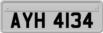 AYH4134
