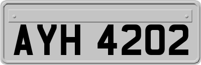 AYH4202