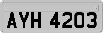 AYH4203
