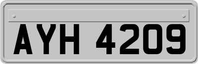 AYH4209