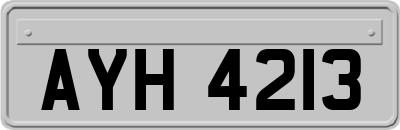 AYH4213