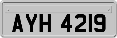 AYH4219