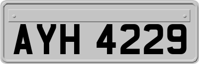 AYH4229