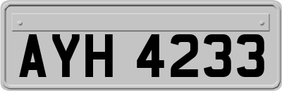 AYH4233
