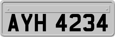 AYH4234