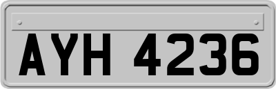 AYH4236