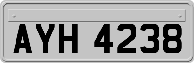 AYH4238