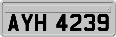 AYH4239