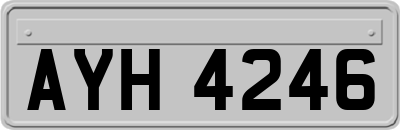 AYH4246