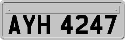 AYH4247