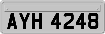 AYH4248