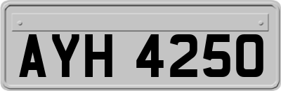 AYH4250