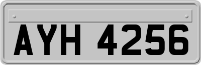 AYH4256