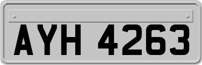 AYH4263