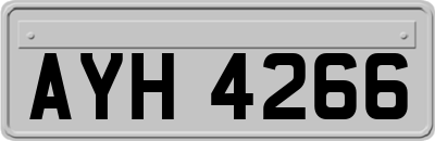 AYH4266