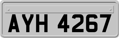 AYH4267