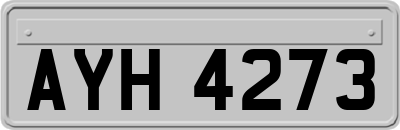 AYH4273