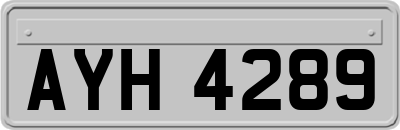 AYH4289