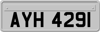 AYH4291