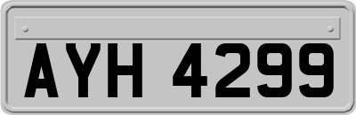 AYH4299