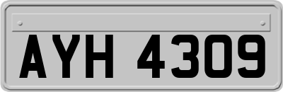 AYH4309
