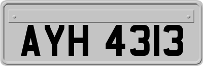 AYH4313