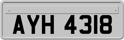 AYH4318
