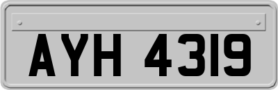AYH4319
