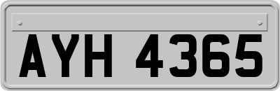 AYH4365