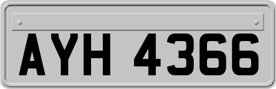 AYH4366