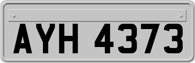 AYH4373