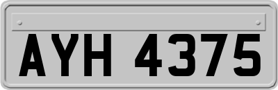 AYH4375