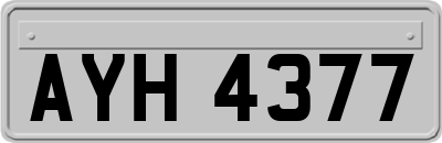 AYH4377