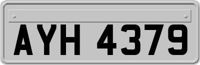 AYH4379
