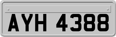 AYH4388