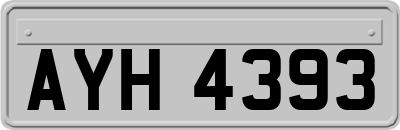 AYH4393
