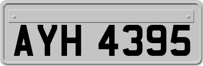 AYH4395