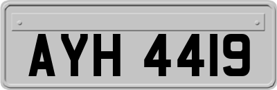 AYH4419