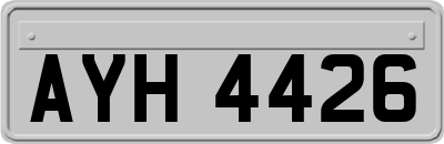 AYH4426