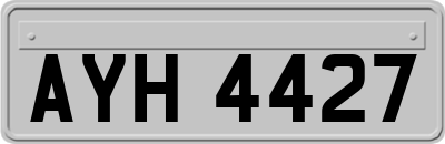 AYH4427