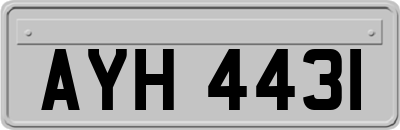 AYH4431