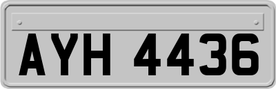 AYH4436
