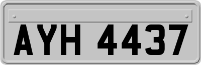 AYH4437