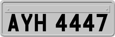 AYH4447