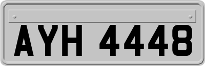 AYH4448