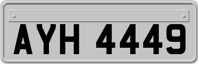 AYH4449