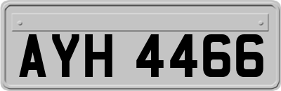 AYH4466