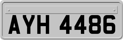 AYH4486