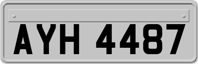 AYH4487