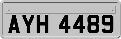AYH4489